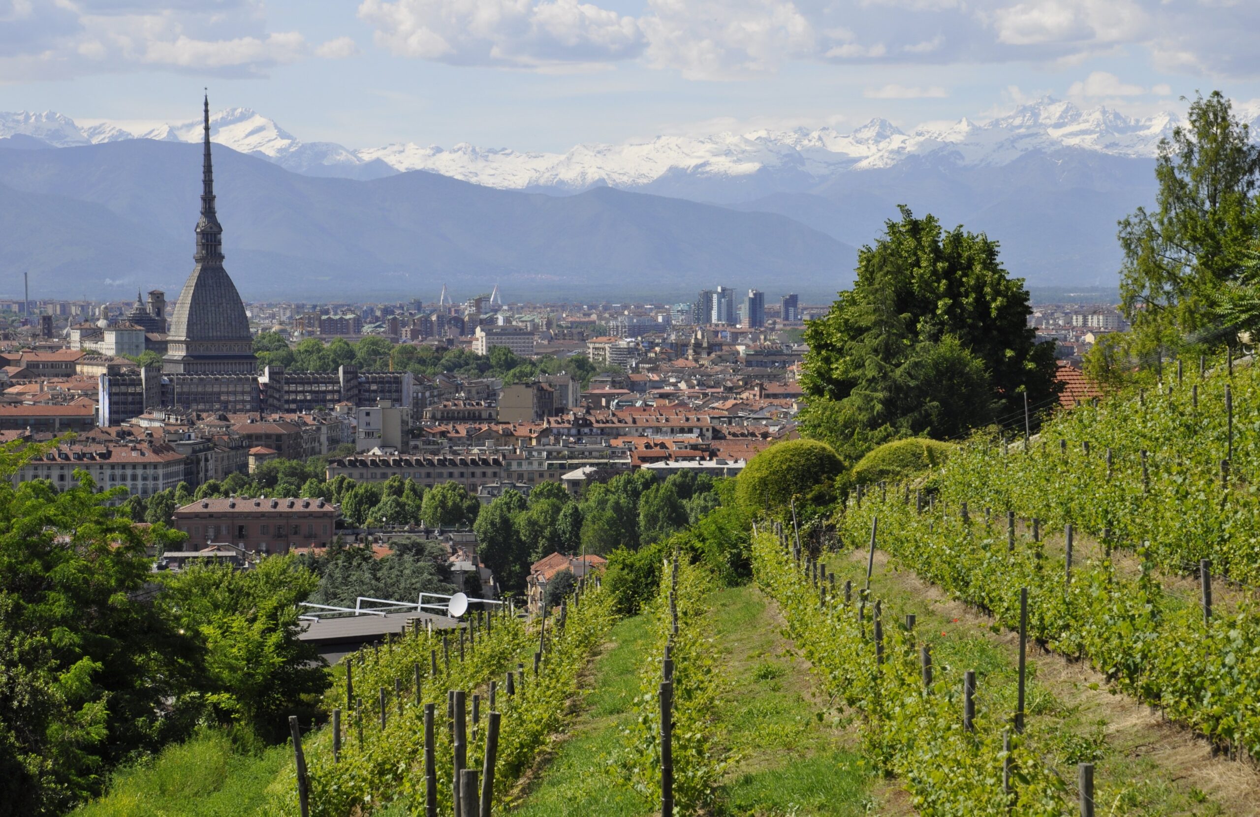 nonmisvegliate-torino-2994538 (1)